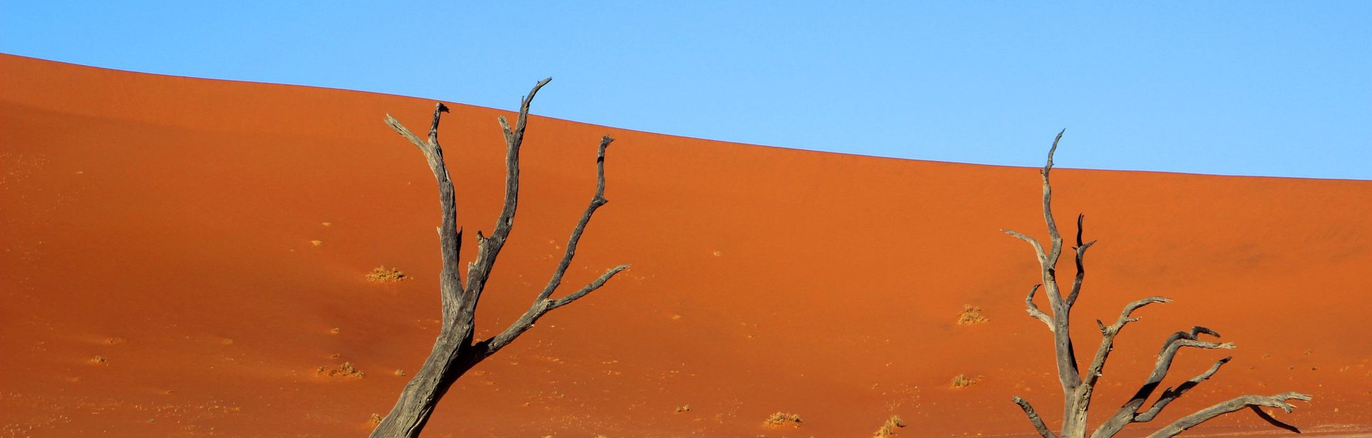 7-Day Namibia Safari from Windhoek