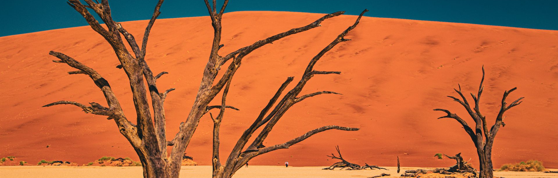 Namibia Travel Guide